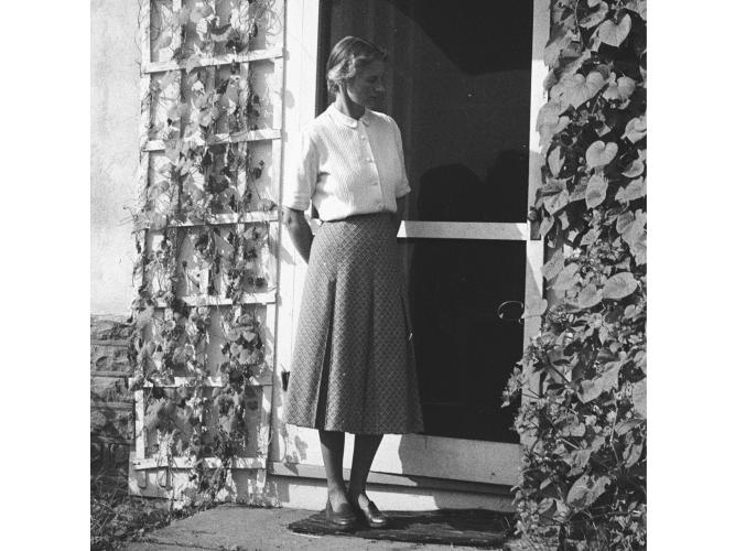 anne jeffery