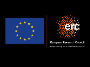 logo erc flag eu negatif