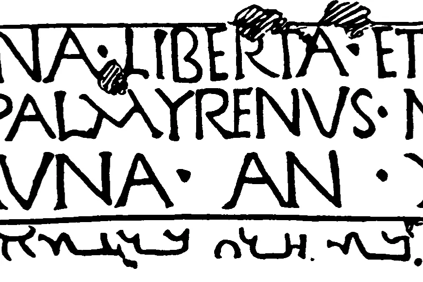 rib001065